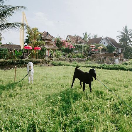 The Rice Joglo Eco-Stay Ubud Exteriör bild