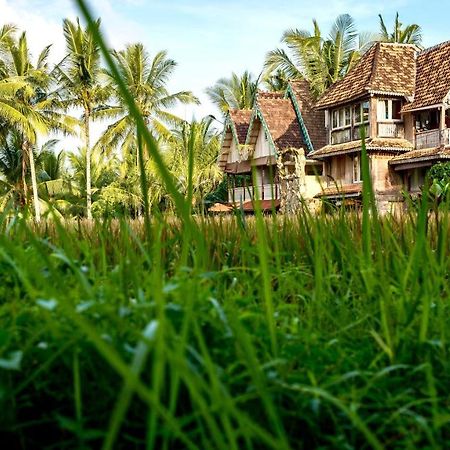 The Rice Joglo Eco-Stay Ubud Exteriör bild