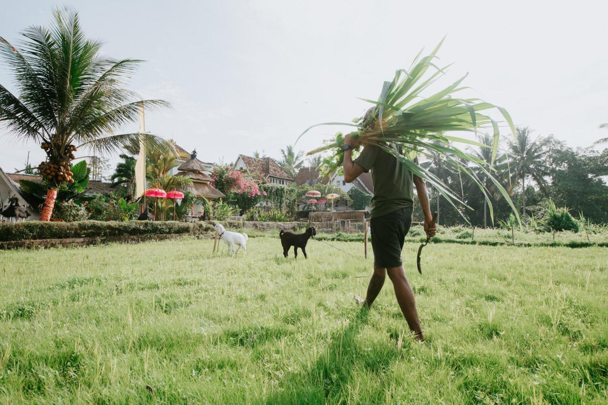 The Rice Joglo Eco-Stay Ubud Exteriör bild